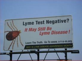 TOUCHED BY LYME: Can you boil down your Lyme message to just a few words?