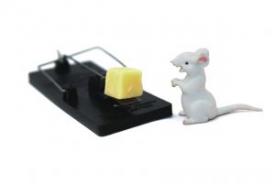 POLITICAL ACTION: State Legislation in the Lymelight, Part 3