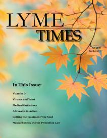 Latest issue of Lyme Times