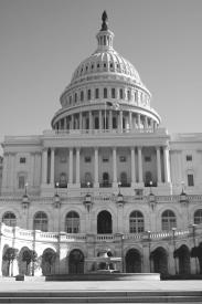 POLITICAL ACTION: IDSA Opposes Federal Lyme Bills