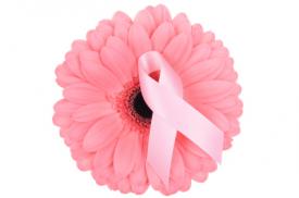 LYMEPOLICYWONK: You can observe a lot by watching:  Breast Cancer & Lyme Disease