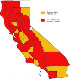 TOUCHED BY LYME: Lyme Disease Rocked Our Family