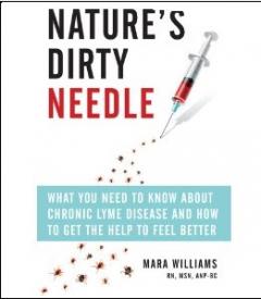 TOUCHED BY LYME: (book review) Nature’s Dirty Needle