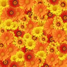 Lyme Policy Wonk: Fresh back from the conferences!