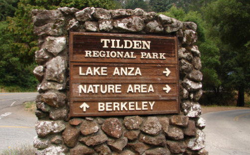 TOUCHED BY LYME: Those ticks on Tilden Park’s picnic tables