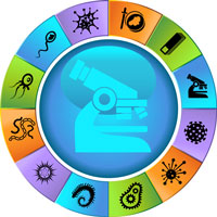 LYMEPOLICYWONK: Part 1–New Study Shows Lyme Persists in Monkeys