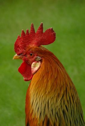 LYMEPOLICYWONK: The Economic Impact and Burden of Lyme Disease—A Wake Up Call to Policy Makers