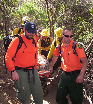 TOUCHED BY LYME: Search-and-rescue teams may be at high risk for tick diseases