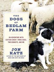 TOUCHED BY LYME: Things gained, things lost, things learned from Lyme disease