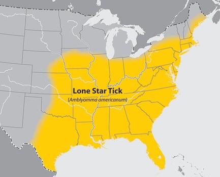 GUEST BLOG: Lone star tick implicated in Lyme disease in the South
