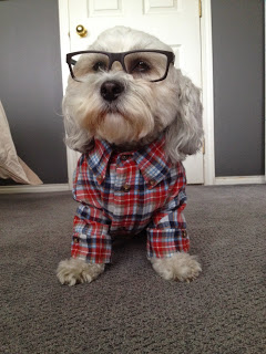 TOUCHED BY LYME: The World According to Harrison