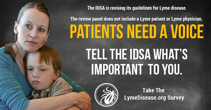 LYMEPOLICYWONK: IDSA Guidelines Survey
