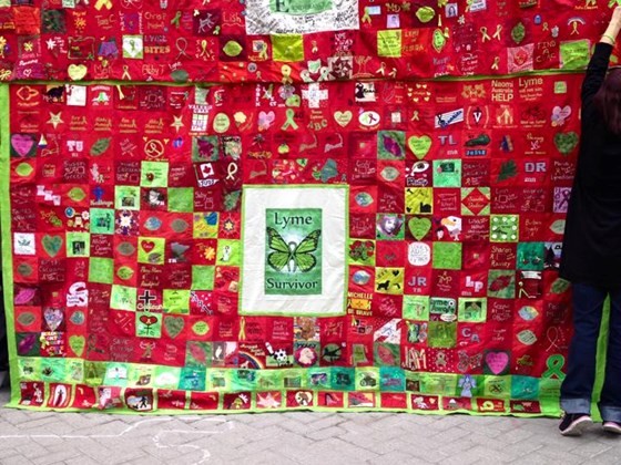 TOUCHED BY LYME: Lyme Quilt coming to San Diego protest