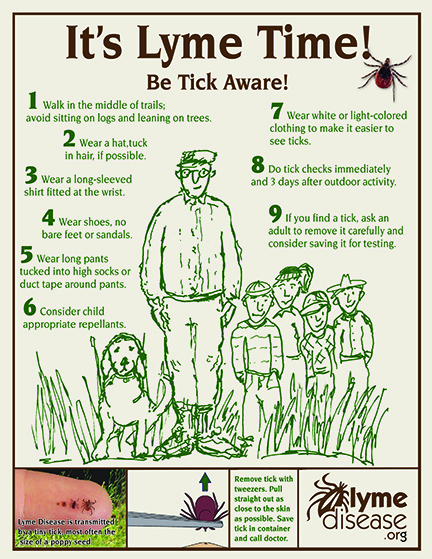 You Can Do It! Put Up Posters for Lyme Disease Awareness Month