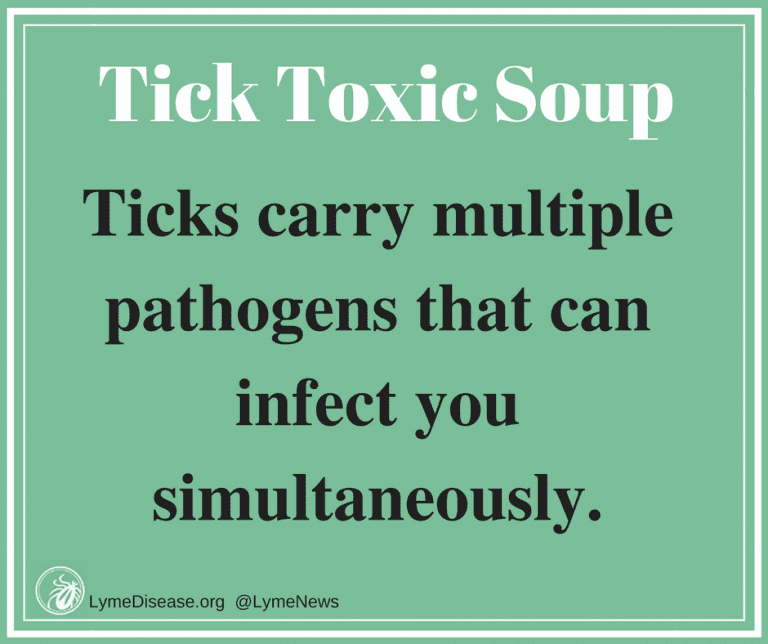 LYME SCI: Tick-borne co-infections are the rule, not the exception
