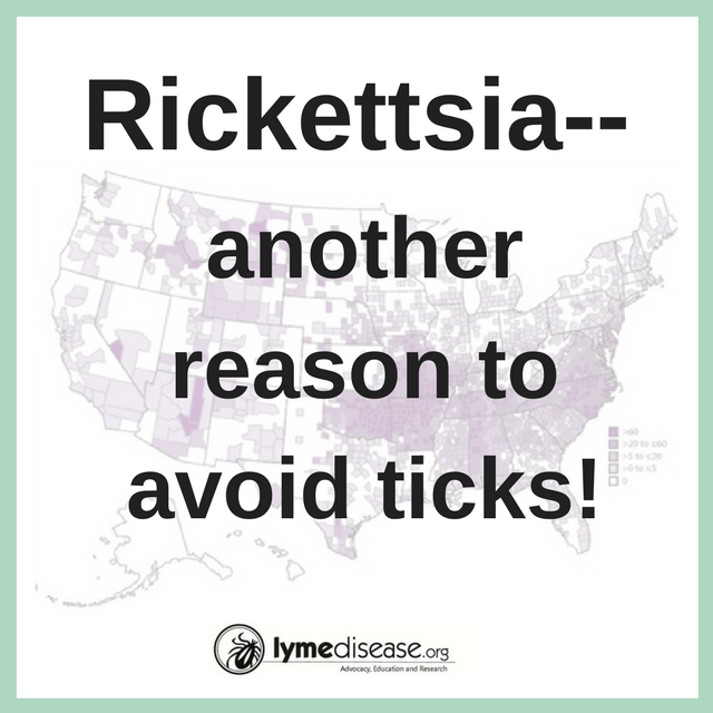 LYME SCI: A closer look at rickettsia infections