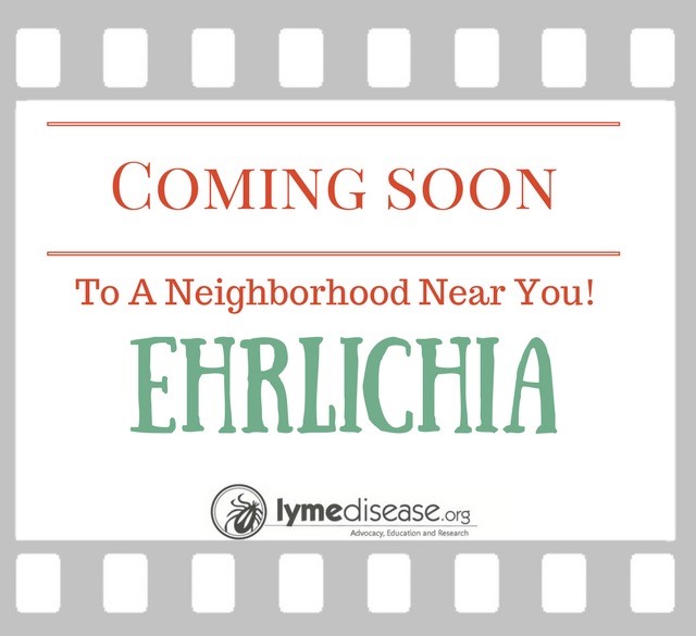LYMESCI: Ehrlichiosis — The Tick-Borne Disease No One Has Heard Of