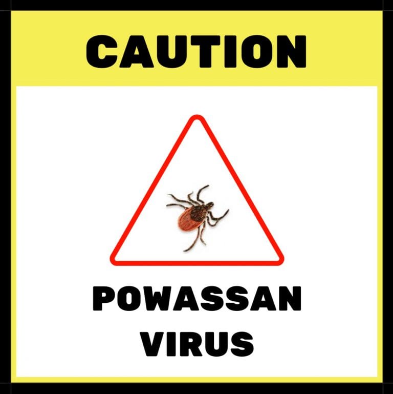 LYME SCI: Tick-borne Powassan virus can be deadly