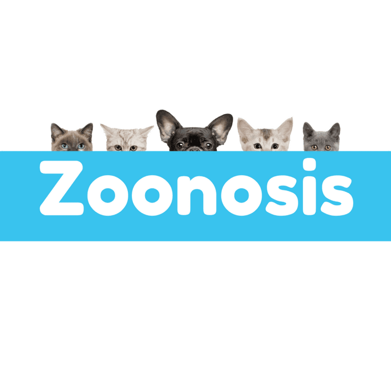 LYME SCI: Zoonotic diseases spread from animals to people