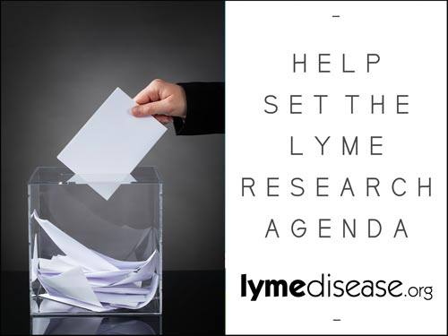 Number one research priority for Lyme disease? Better testing.