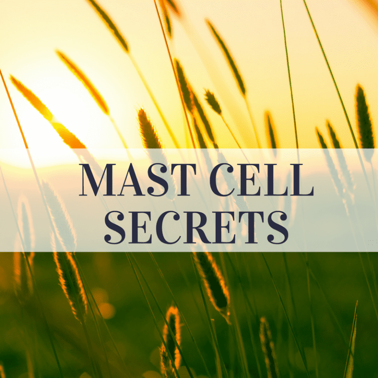 LYME SCI: More about healing from mast cell activation syndrome