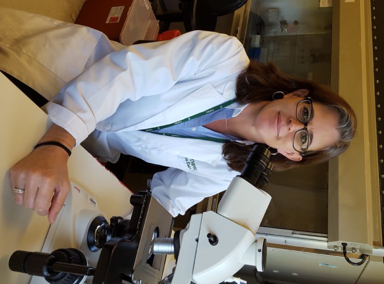 Details on how Lyme spirochetes persist after antibiotics