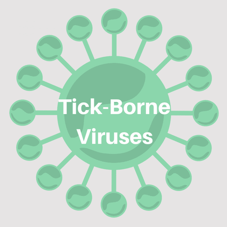 Tick-Borne Viruses