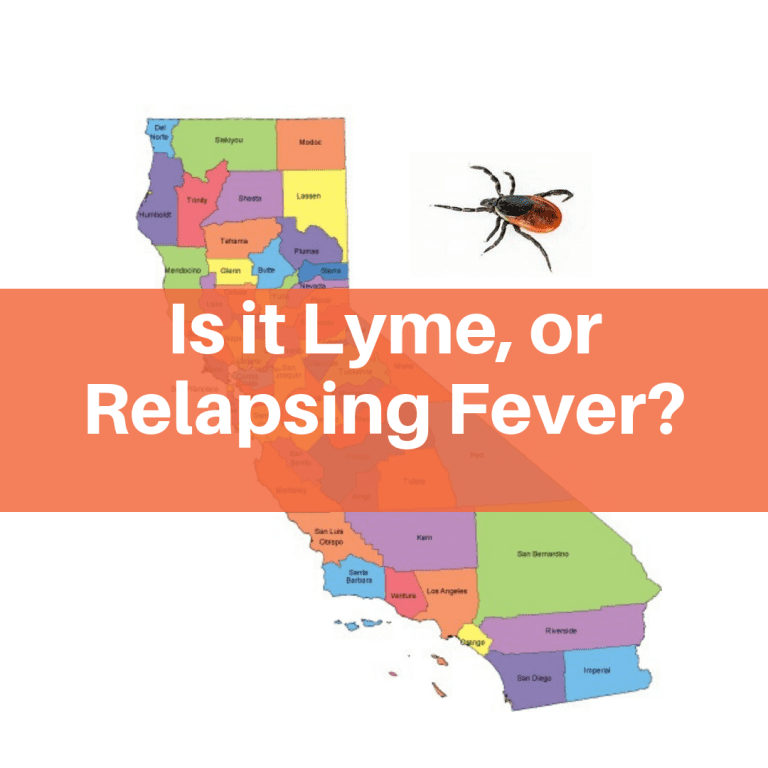 In California, is it Lyme disease or tick-borne relapsing fever?