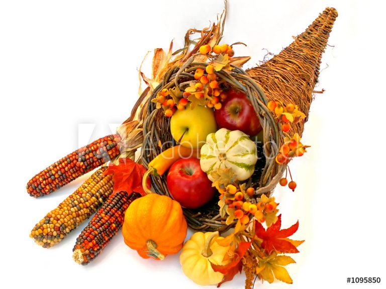 Thanksgiving in the Lyme world, 2018