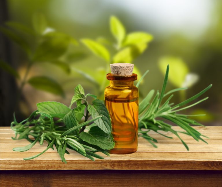 Plant Compounds May Be More Effective Treating Persistent Lyme Bacteria