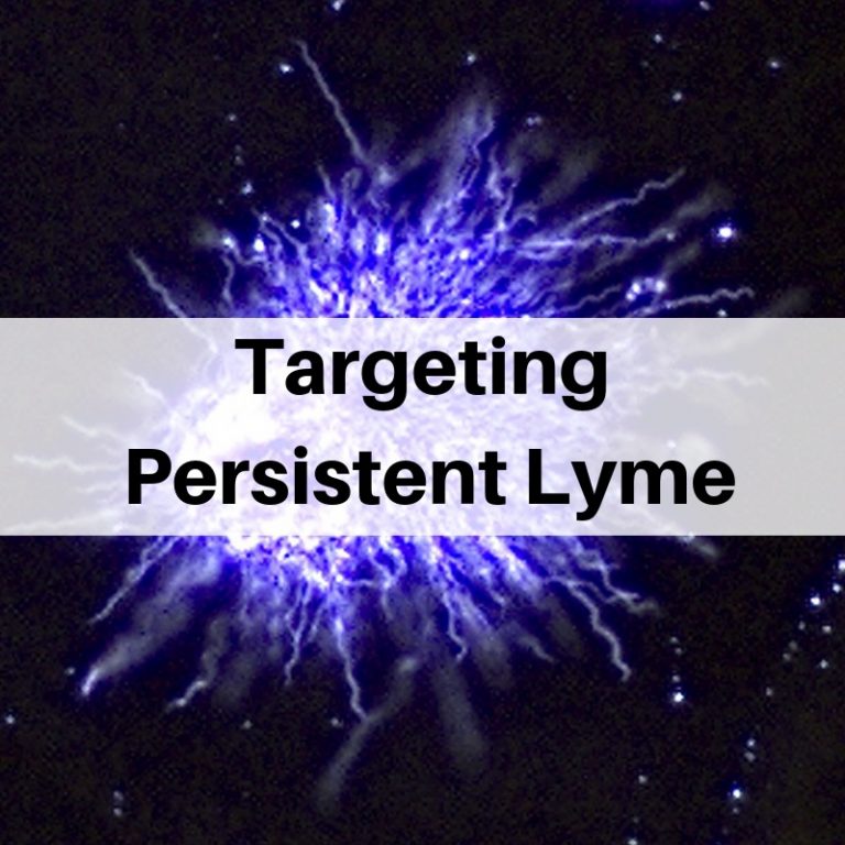 Targeting persistent Lyme