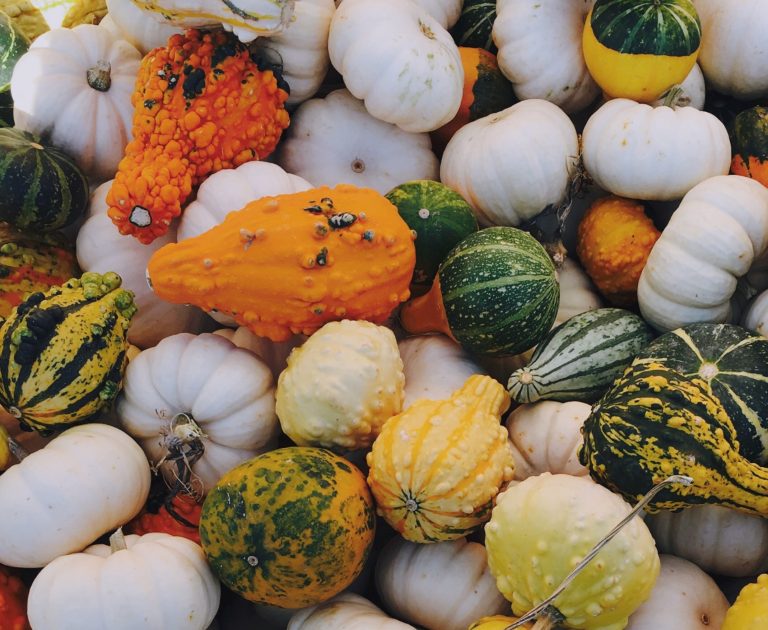 TOUCHED BY LYME: Thanksgiving in the Lyme World, 2019