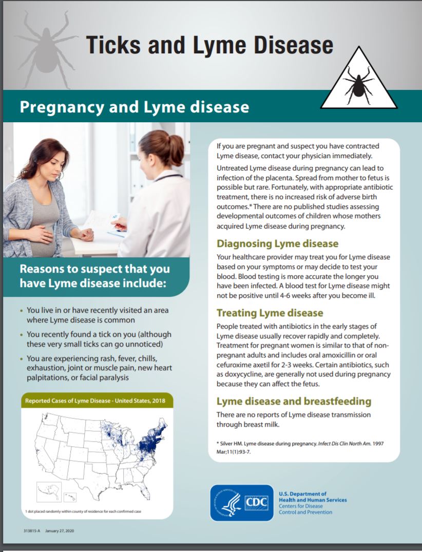 CDC pregnancy & Lyme