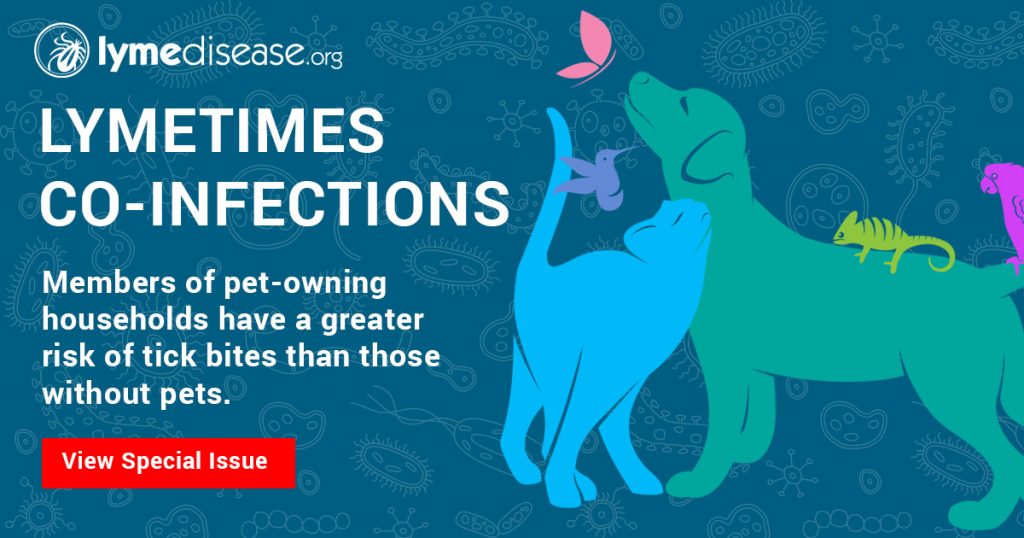 Members of pet-owning households have a greater risk of tick bites than those without pets.