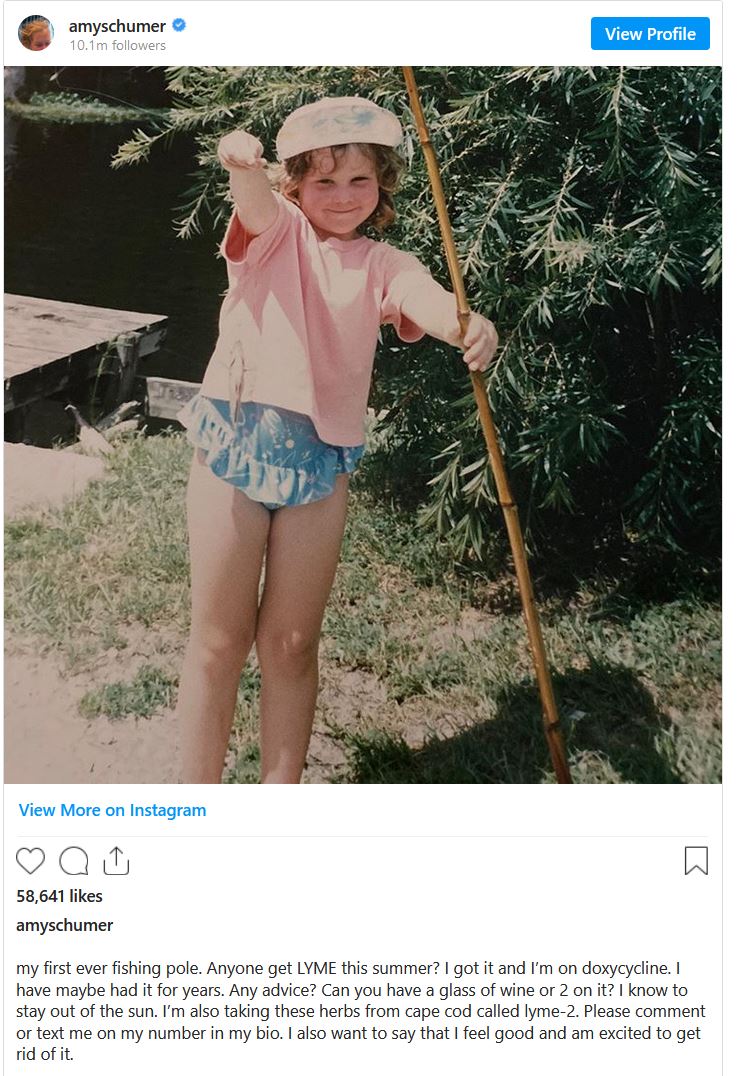 amy schumer Instagram post