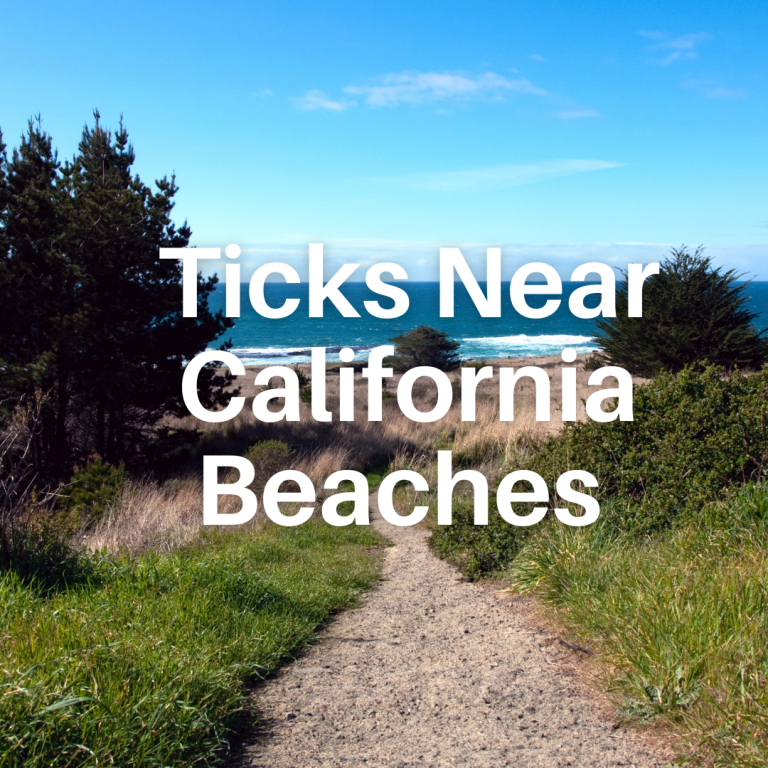 LYME SCI: Tick infection rates as high as 31% in some coastal areas of California