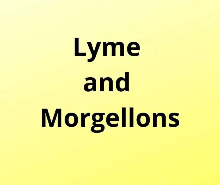 Evidence of genital lesions and Morgellons disease in a Lyme patient