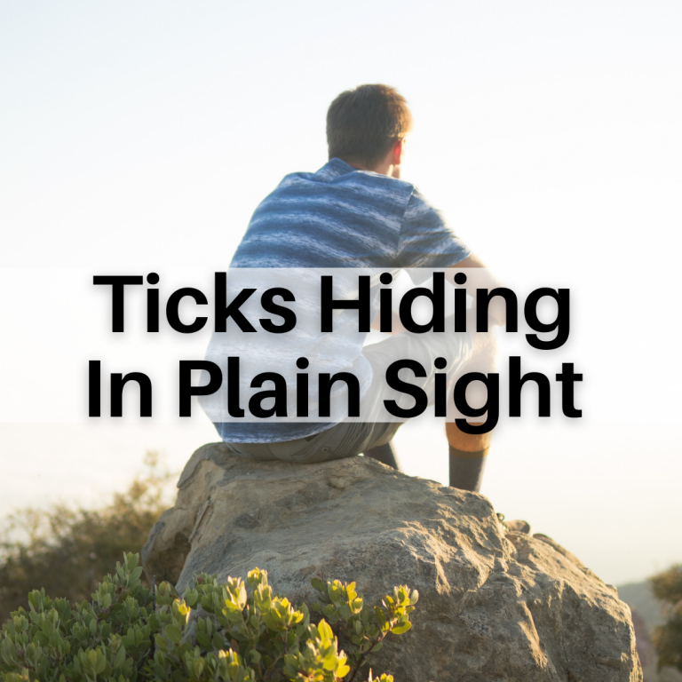 LYME SCI: The ticks you don’t see are the most dangerous