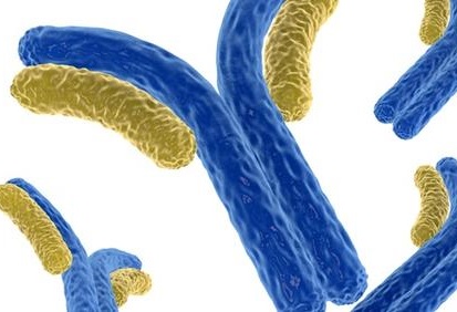 Epstein-Barr virus reactivation may be the cause of long COVID symptoms