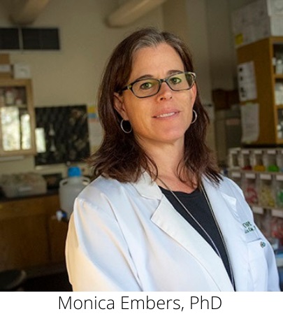 Research consortium aims to develop new drug for bartonellosis