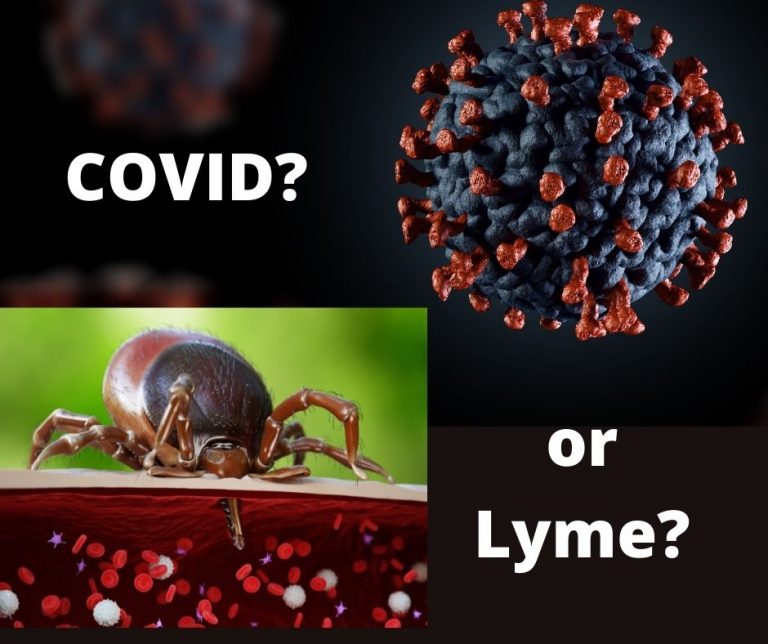 TOUCHED BY LYME: Why wait for 3 negative COVID tests to consider Lyme disease?