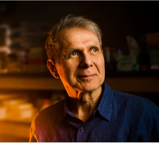 Could this treatment prevent chronic Lyme disease?