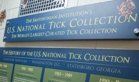 The largest collection of ticks in the world is in Georgia