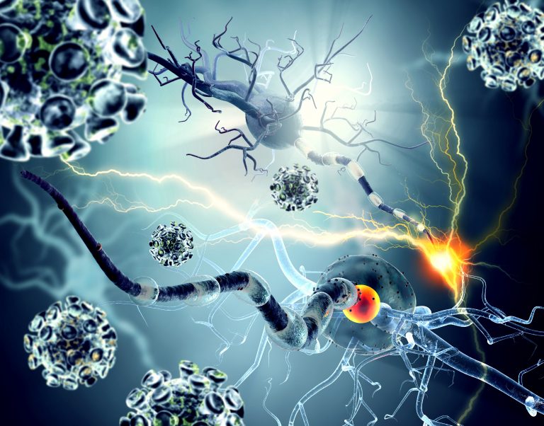 Epstein-Barr virus may be a leading cause of multiple sclerosis