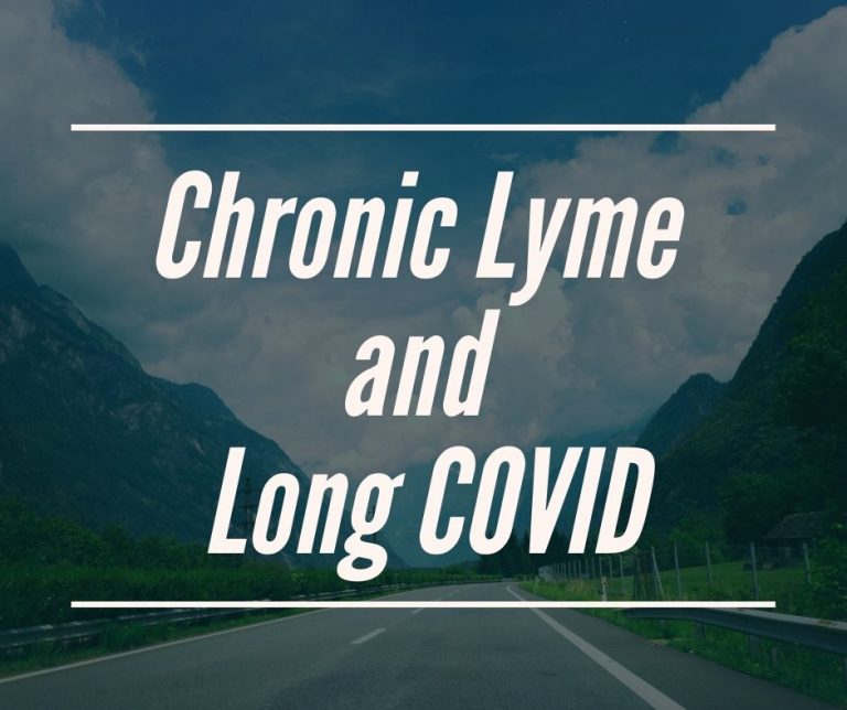 What can chronic Lyme disease teach us about long COVID?