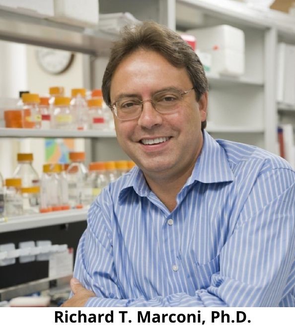 Closing in on a safe and effective human vaccine for Lyme disease?