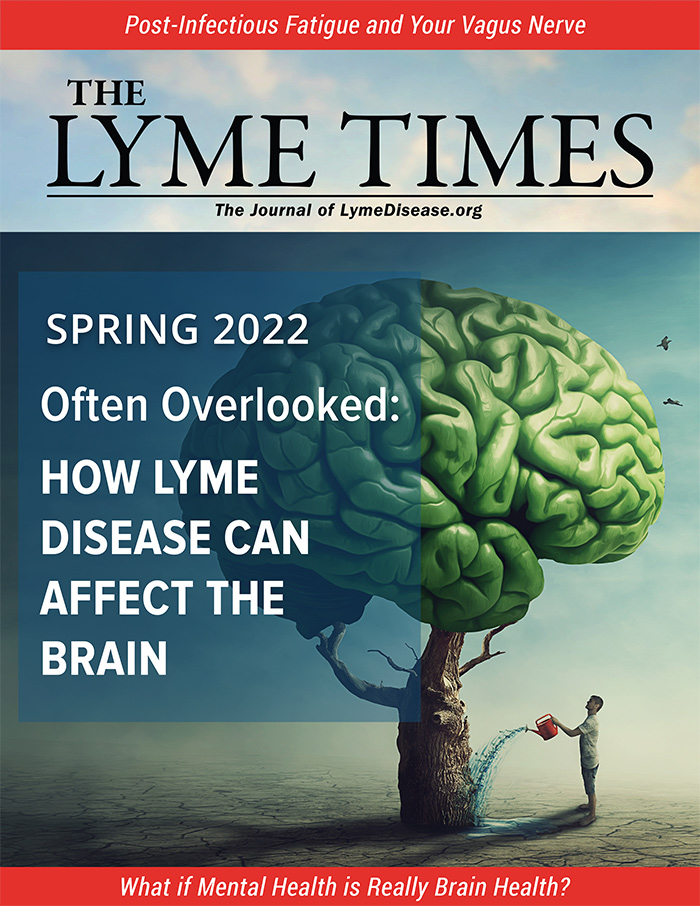 The Lyme Times: How Lyme disease can affect the brain