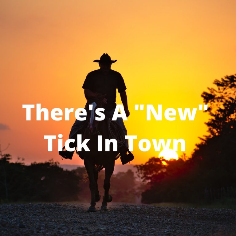 LYME SCI: “Super-fast” lone star ticks are showing up in new places