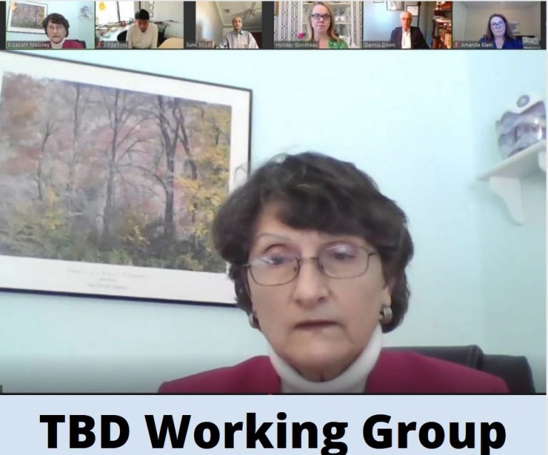 TOUCHED BY LYME: Highs and lows at TBD Working Group meetings
