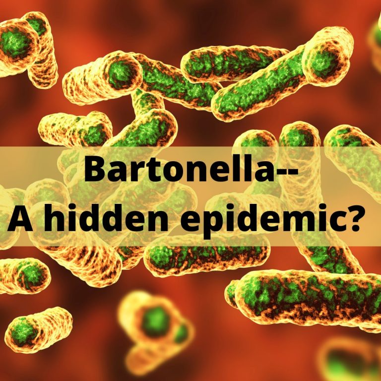 How prevalent is Bartonella in people who have Lyme disease?